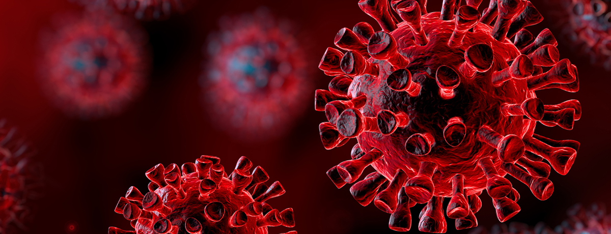 picture of the COVID19 virus