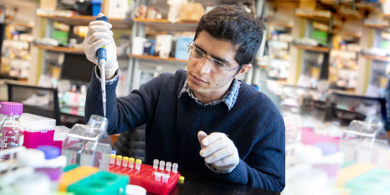 Male student working with pipets and test tubes in a lab setting.