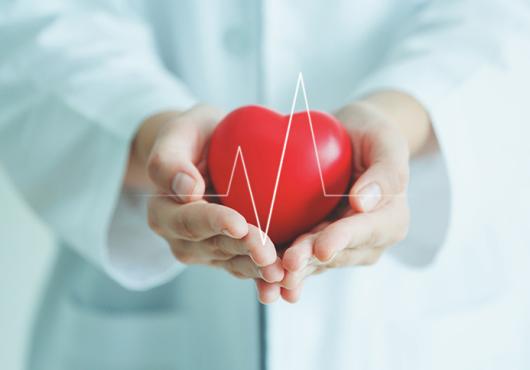 Heart in the hands of a doctor with the heart rate displayed across the image.