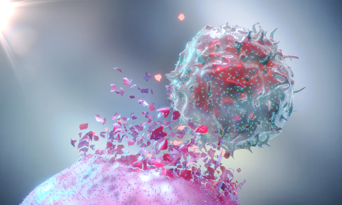 3D Rendering of a Natural Killer Cell (NK Cell) destroying a cancer cell