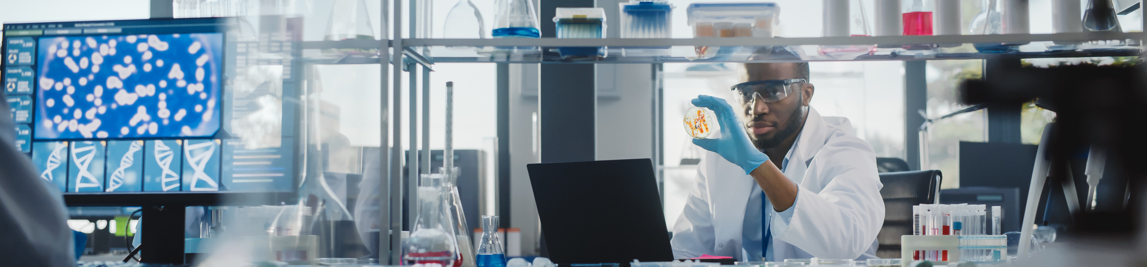 A man in a lab examining a petri dish. 