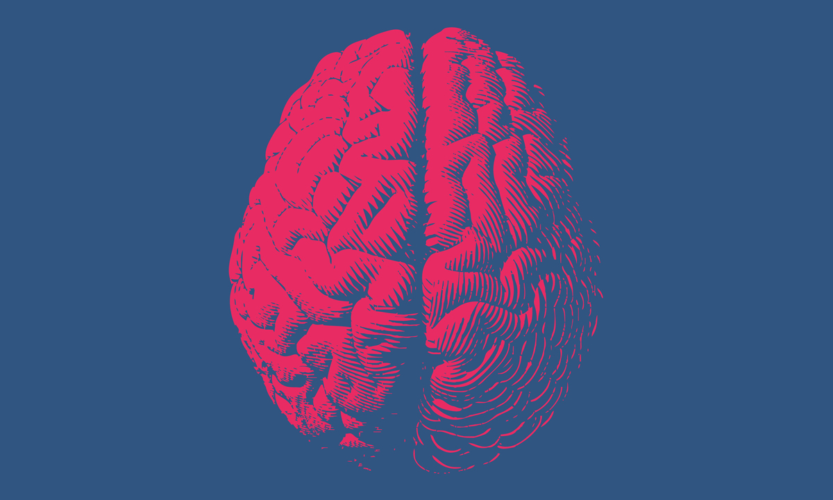Brain graphic with striations